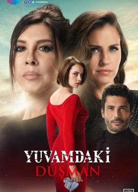 Враг в моем доме (2018)