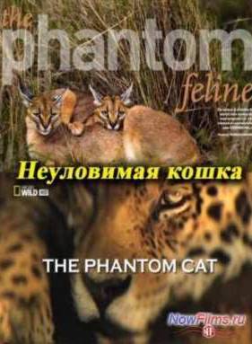 Неуловимая кошка (2012)