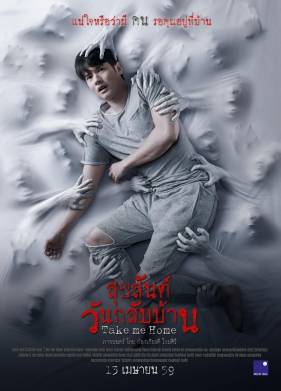 Забери меня домой (2016)