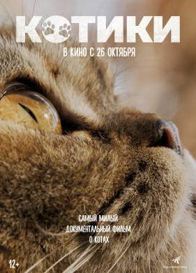 Котики (2022)