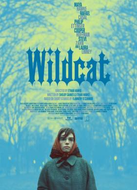 Дикая кошка (2023)