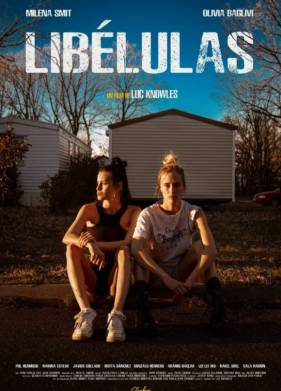 Стрекозы (2022)