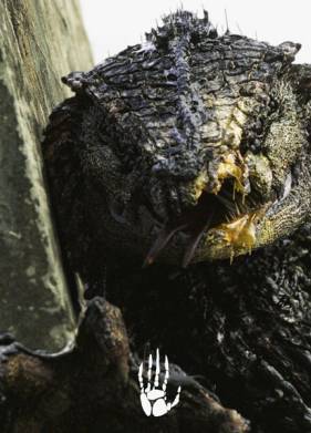 ����: ����� 1 - ����� (2017)