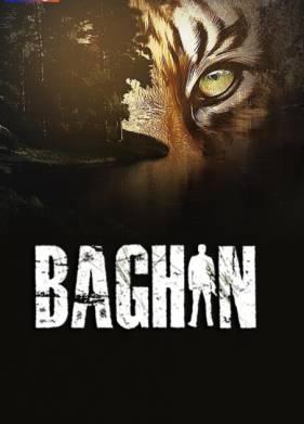 Багин (2024)