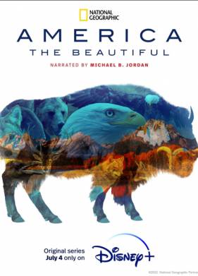 ���������� ������� (2022)