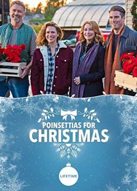 Пуансеттии на Рождество (2018)