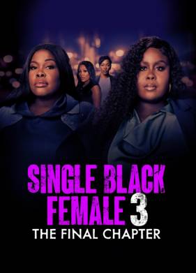 Одинокая темнокожая женщина: Последняя глава (2025)