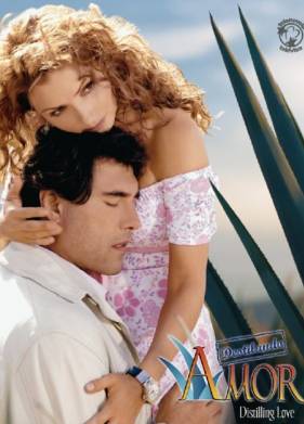 Чистая любовь (2007)