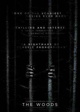 Ведьма из Блэр: Новая глава (2016)