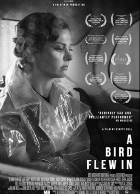 Залётная птица (2021)