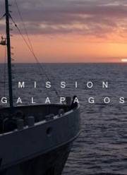 ������ ���������� (2017)