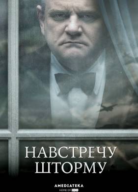 Навстречу шторму (2009)