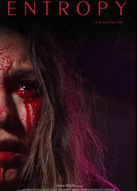 Энтропия (2022)