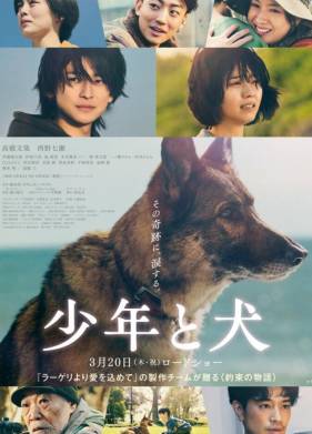 ������� � ������ (2025)