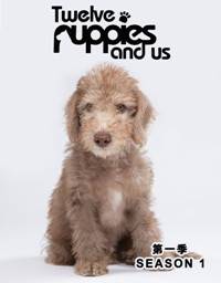 Двенадцать щенков и мы (2020)