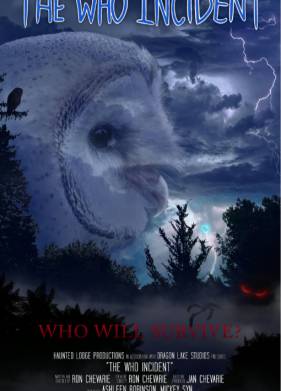 Неопознанный инцидент (2023)