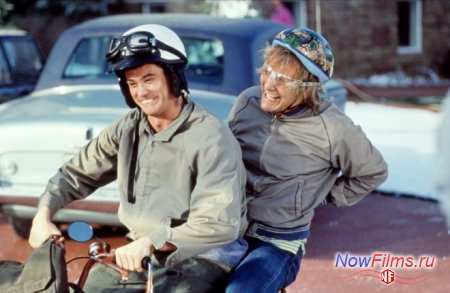 Джим Керри возвращается в фильм "Тупой и ещё тупее 2" Джим Керри возвращается в фильм "Тупой и ещё тупее 2"