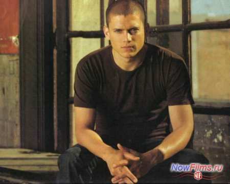 Вентворт Миллер займётся адаптацией детектива Вентворт Миллер займётся адаптацией детектива