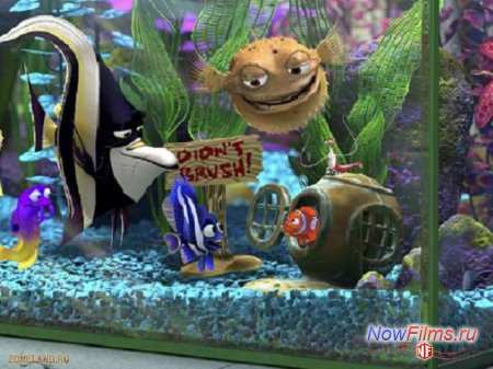 Вторая часть «В поисках Немо» появится в 2015 году Вторая часть «В поисках Немо» появится в 2015 году