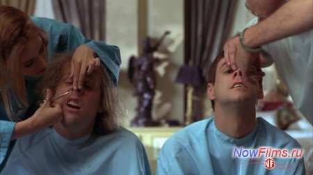 Киностудии «Universal» получила разрешение на запуск проекта "Тупой и еще тупее 2" Киностудии «Universal» получила разрешение на запуск проекта "Тупой и еще тупее 2"