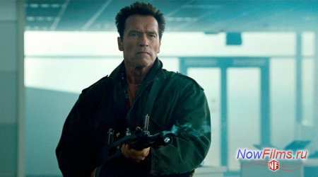 Шварценеггер сыграет в «Аватаре 2»? Шварценеггер сыграет в «Аватаре 2»?