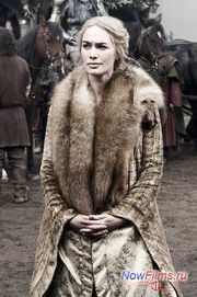 �������� ����� ���������� ������ ������ ����� ���������