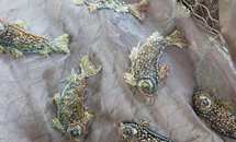 В каждую серию «Игры престолов» вложено около $6 млн. В каждую серию «Игры престолов» вложено около $6 млн.