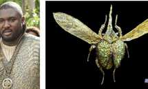 В каждую серию «Игры престолов» вложено около $6 млн. В каждую серию «Игры престолов» вложено около $6 млн.