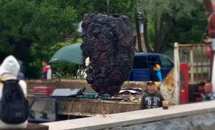 � ����������� ������� ������� ���������