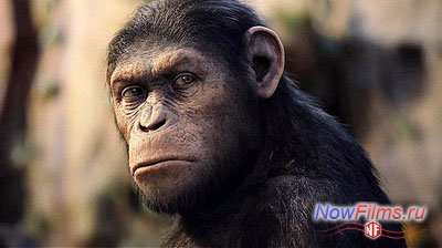 Актёр, подаривший мимику Цезарю из «Планеты обезьян» будет выдвинут на Оскар Актёр, подаривший мимику Цезарю из «Планеты обезьян» будет выдвинут на Оскар