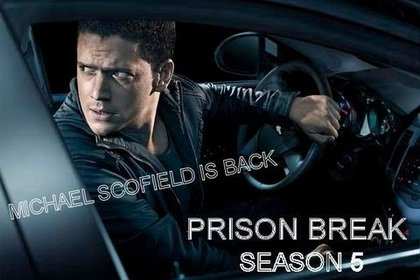 «Побег» 5 сезон (2015) запланирован «Побег» 5 сезон (2015) запланирован