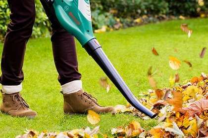 Зрителей калифорнийского кинотеатра напугал пылесос Зрителей калифорнийского кинотеатра напугал пылесос