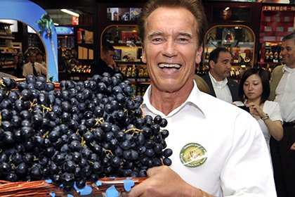 Шварценеггер не поддерживает вегетарианство Шварценеггер не поддерживает вегетарианство