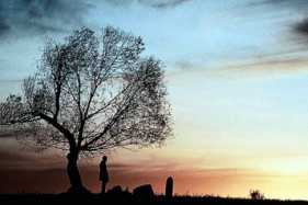 25 лет фильму «Непрощённый» Клинта Иствуда. Анализ жанра и причин успеха ленты. 25 лет фильму «Непрощённый» Клинта Иствуда. Анализ жанра и причин успеха ленты.