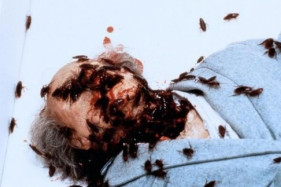 Комментарии Стивена Кинга экранизаций его книг Комментарии Стивена Кинга экранизаций его книг