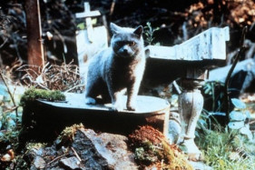 Комментарии Стивена Кинга экранизаций его книг Комментарии Стивена Кинга экранизаций его книг