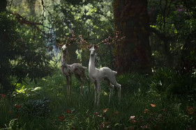 Режиссёр «Аннигиляции» расстроен, что фильм выйдет Netflix Режиссёр «Аннигиляции» расстроен, что фильм выйдет Netflix