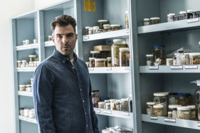 Список самых примечательных новых сериалов июля Список самых примечательных новых сериалов июля