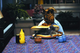 Возможно будет создан ремейк культового сериала 1980-х «Альф» Возможно будет создан ремейк культового сериала 1980-х «Альф»