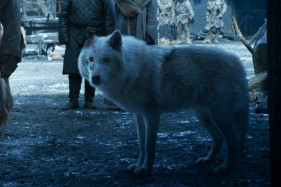 ������ �. �. ������ ��������� � �������� ����� ���������