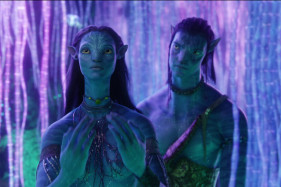 ������ ������� ���������������� �������� ����� ���������