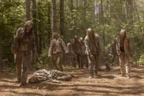 Финал 10-го сезона "Ходячих мертвецов" перенесли из-за коронавируса Финал 10-го сезона "Ходячих мертвецов" перенесли из-за коронавируса