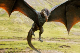 ����������� �������-��� ������� ������� �� �������� ����� ���������