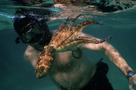 ������ ������ ����������� ������-2021�