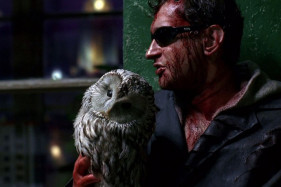 Тимур Бекмамбетов хочет снять «Сумеречный дозор» необычно Тимур Бекмамбетов хочет снять «Сумеречный дозор» необычно