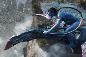 Джеймс Кэмерон рассказал, почему не дал вырезать из «Аватара» сцену полёта Джеймс Кэмерон рассказал, почему не дал вырезать из «Аватара» сцену полёта