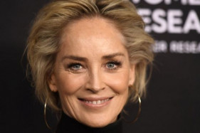 Шэрон Стоун исполнит роль злодейки в экранизации «Синего Жука» Шэрон Стоун исполнит роль злодейки в экранизации «Синего Жука»