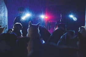 ����� ����� ���� ������� �������� ������ � ����������� ������