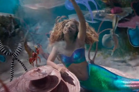 ������ ����� ����������� ���������� (2023) ��������� �������