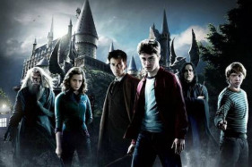 Перезапуск экранизации «Гарри Поттер» прокомментировал режиссер последних фильмов Перезапуск экранизации «Гарри Поттер» прокомментировал режиссер последних фильмов